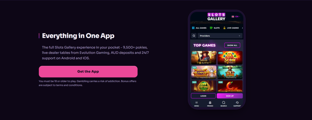 Slots Gallery, no deposit bonus terms on the offer page